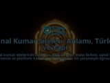 Sanal-Kumar-Siteleri-Anlami-Turleri-ve-Yapi-overlay-1788109352.jpg